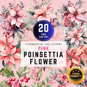 Poinsétia Clipart Aquarela Rosa Buquê Floral de Natal PNG Flor de Inverno para Cartões Convites e Artesanato Uso Comercial Digital