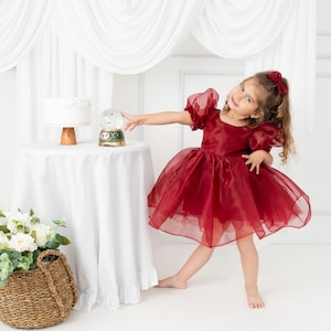 Burgundy tutu baby dress, mini organza gown, 1st birthday dress dark red, puffy tulle tutu for toddler, halloween balloon sleeve baby outfit