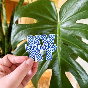 May include: A white sticker with blue checkered "KY" letters and the word "Kentucky" in cursive. The sticker is held in front of a large green leaf.