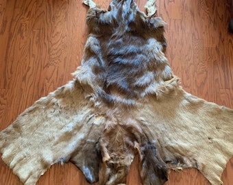 Tanned Elk Fur Hide - Real Elk, Full Body