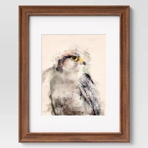 Peregrine Falcon Watercolor Print - Digital Download JPEG for Animal Wall Art Decor – Download Beautiful Nature Inspired Wildlife Painting