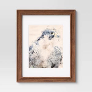 Peregrine Falcon Watercolor Print - Digital Download JPEG for Animal Wall Art Decor – Download Beautiful Nature Inspired Wildlife Painting