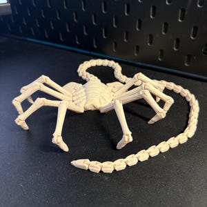 3D printed sci fi horror Alien Facehugger inspired articulated model