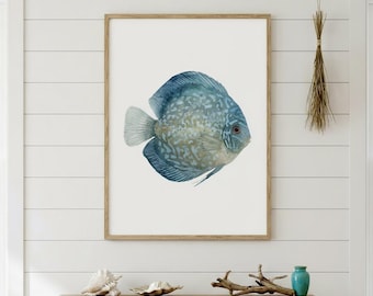 May include: A framed watercolor print of a blue discus fish. The fish has a speckled pattern and is set against a white background. The frame is a light brown color. The artwork is displayed on a white wall above a wooden shelf.