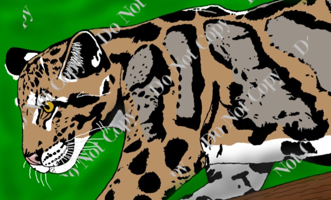 Clouded Leopard Digital Art Etsy