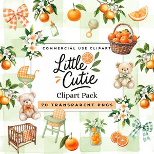 Clipart di una piccola bellezza - Una piccola bellezza è in arrivo - Baby shower arancione - Clipart di agrumi - Pacchetto PNG digitale