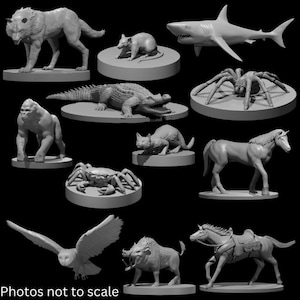 CR0 - 1/2 Wild Shape Miniatures Bundle: DnD, Pathfinder TTRPG Animals