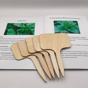 K&ouml;nnte beinhalten: F&uuml;nf unfertige Pflanzenmarkierungen aus Holz mit einem paddelf&ouml;rmigen Oberteil und einer spitzen Basis, die auf einem offenen Buch mit Bildern von gr&uuml;nen Pflanzen und Text liegen.