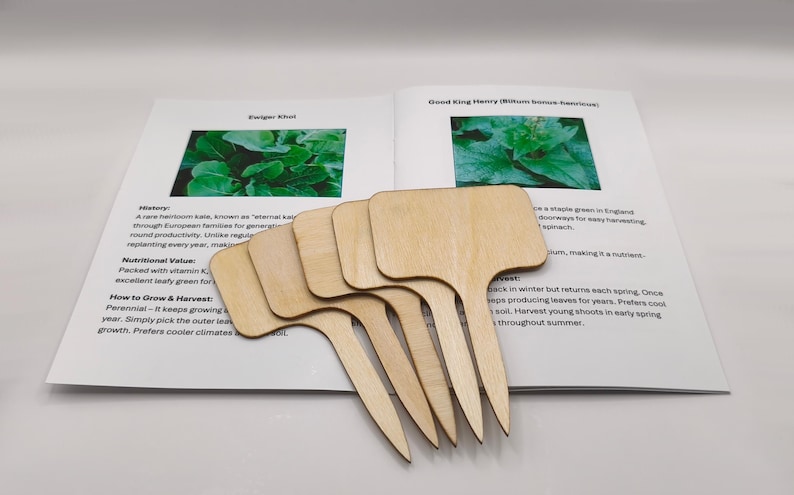 K&ouml;nnte beinhalten: F&uuml;nf unfertige Pflanzenmarkierungen aus Holz mit einem paddelf&ouml;rmigen Oberteil und einer spitzen Basis, die auf einem offenen Buch mit Bildern von gr&uuml;nen Pflanzen und Text liegen.