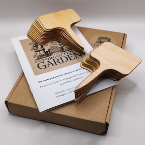 K&ouml;nnte beinhalten: Eine Reihe unfertiger Pflanzenmarkierungen aus Holz mit T-f&ouml;rmigem Design, die auf einer Schachtel und einer Brosch&uuml;re liegen. Die Brosch&uuml;re zeigt den Text "THE FORGOTTEN GARDEN" und Informationen &uuml;ber mehrj&auml;hrige Pflanzen und einen Pflanzkalender.