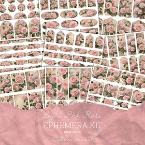 Light Pink Rose Ephemera