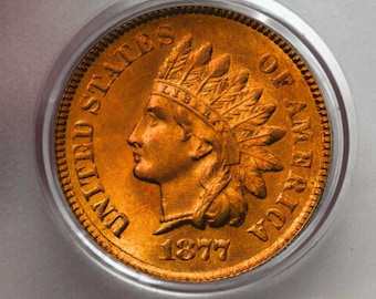 Monete 1877 Monete commemorative americane con testa indiana e penny