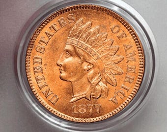 Monete 1877 Monete commemorative americane con testa indiana e penny