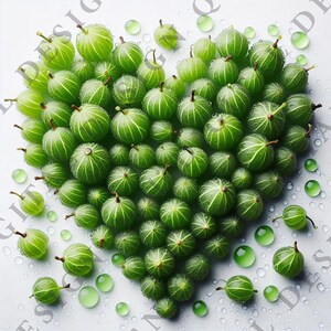 St. Valentine's Day | Fruit Heart Romantic Hearts Images | Digital Clipart Bundle | 16 High-Quality Fresh Fruit Designs | Instant Download