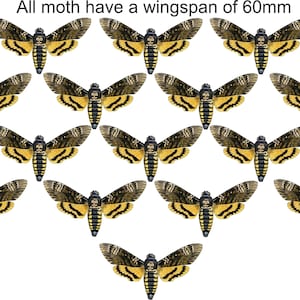 May include: A pattern of 12 black and yellow moths with a 60mm wingspan. The moths are arranged in a diamond shape on a white background. The text "All moth have a wingspan of 60mm" is at the top of the image.