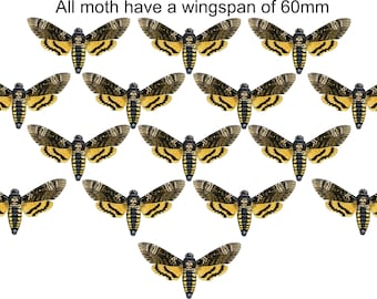 Death head moths.  wood laser cut for the creative 15 per packet