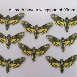 Death head moths.  wood laser cut for the creative 8 per packet