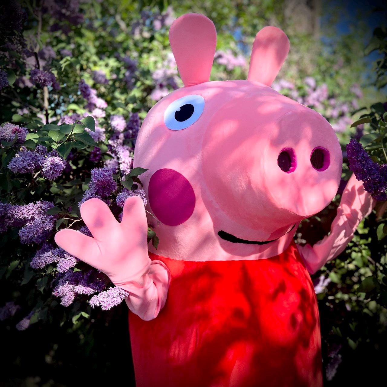 Peppa pig costume Italia
