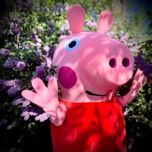 Peppa Pig Mascot Costume - Etsy