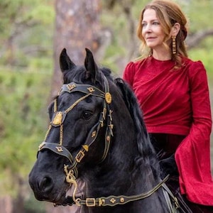 Puede incluir: Un caballo negro con una brida ornamentada con detalles dorados. El caballo es montado por una persona que lleva una parte superior roja de manga larga. El fondo es verde borroso, lo que sugiere un entorno al aire libre.