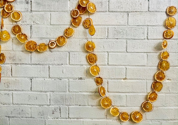 Dried Citrus Garland