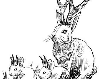 8x10 Photo print - Jackelope