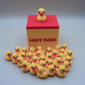 May include: A yellow box with the words "Lucky Ducks" printed on the front. A yellow rubber duck sits on top of the box. There are 20 smaller yellow rubber ducks scattered around the box.