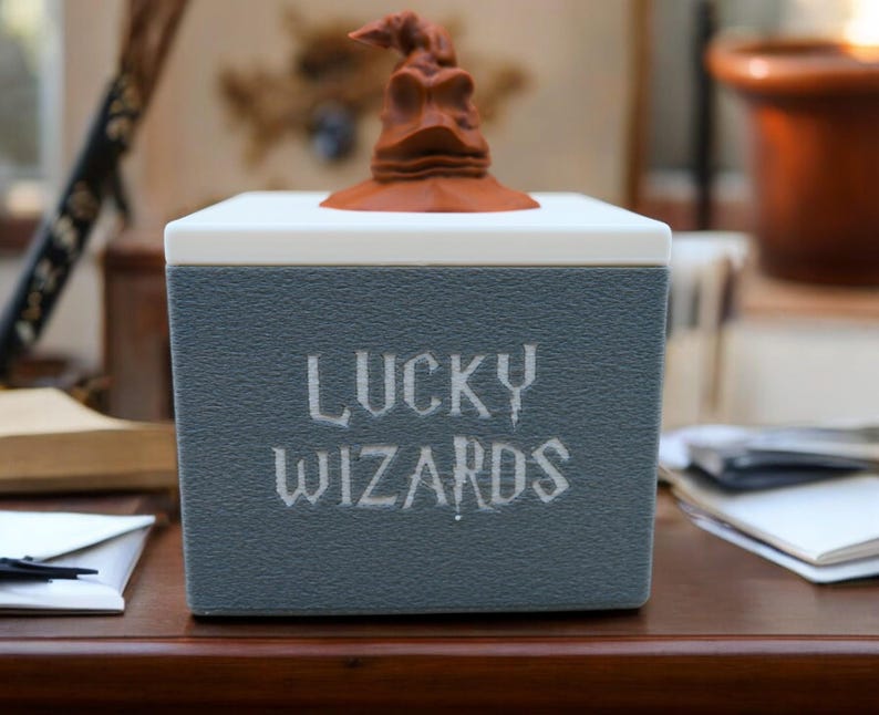 Pu&ograve; includere: Una scatola grigia con le parole "Lucky Wizards" stampate sul davanti. La scatola ha una statuetta di cappello di smistamento marrone in cima.