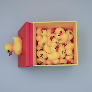 Duck Theme Classroom Personalized Teacher Gift Teaching Supplies Elementary Teacher Gift Student Teacher Gift Back to School Gift Classroom Decor