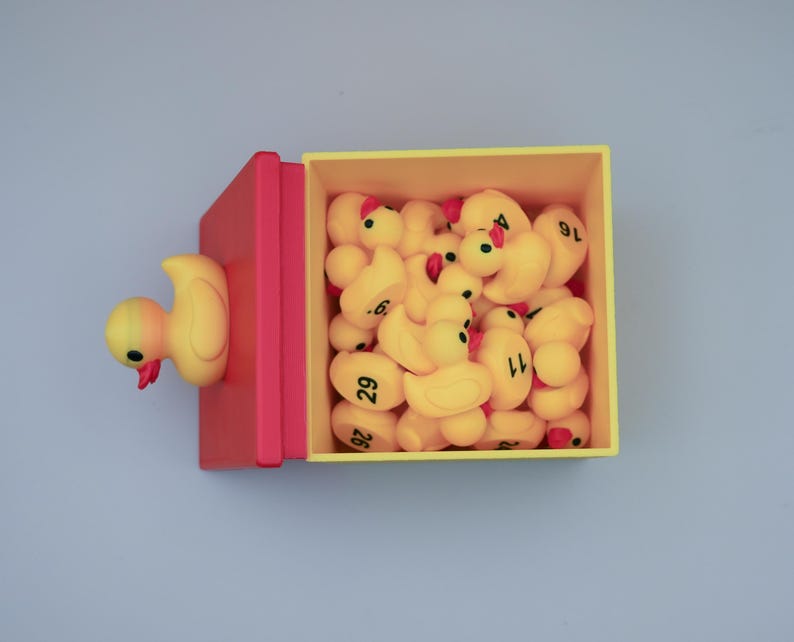 Duck Theme Classroom Personalized Teacher Gift Teaching Supplies Elementary Teacher Gift Student Teacher Gift Back to School Gift Classroom Decor