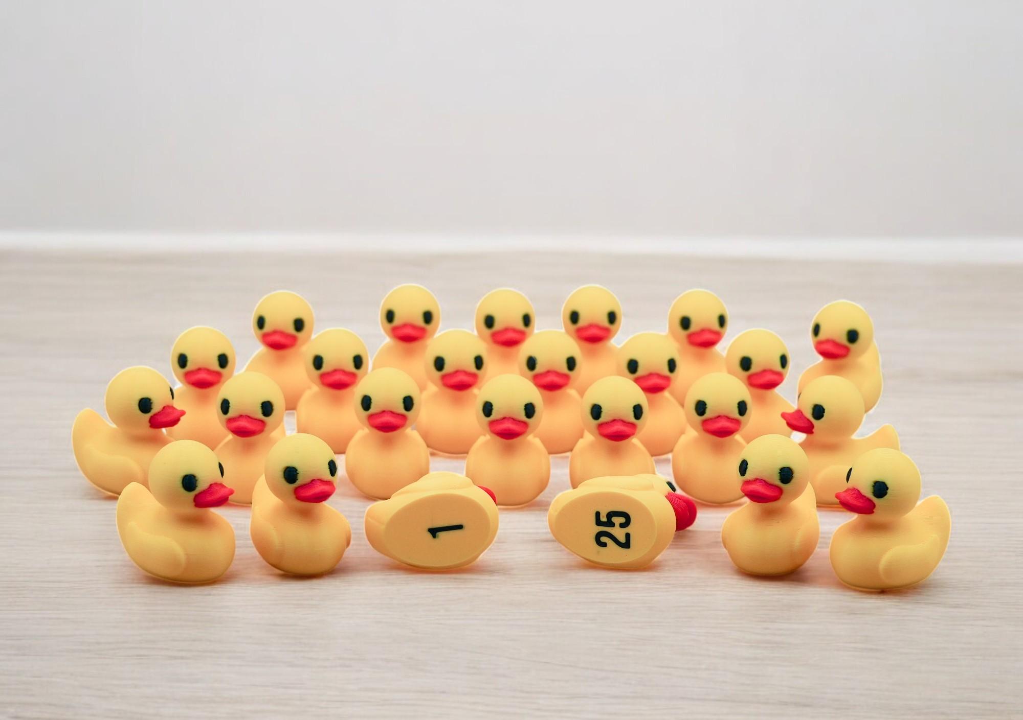 3D Printed Numbered Classroom Ducks Improve Student Behavior ...