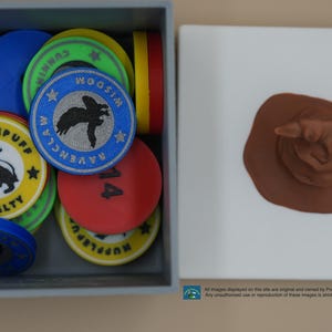 Pu&ograve; includere: Una scatola di gettoni rotondi colorati con vari stemmi e nomi di case dell'universo di Harry Potter, tra cui Ravenclaw, Tassorosso e Woosim. I gettoni sono in una scatola grigia con un cappello di smistamento marrone su una superficie bianca.