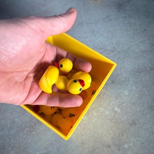 Lucky Ducks Classroom Management Tool Student Grouping Ducks w/Personalized Box Teacher Classroom Organization System Back to School Gift image 7