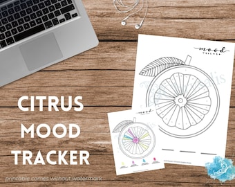 Citrus Mood Tracker - Geometric Food Series (digital + print files) bujo insert