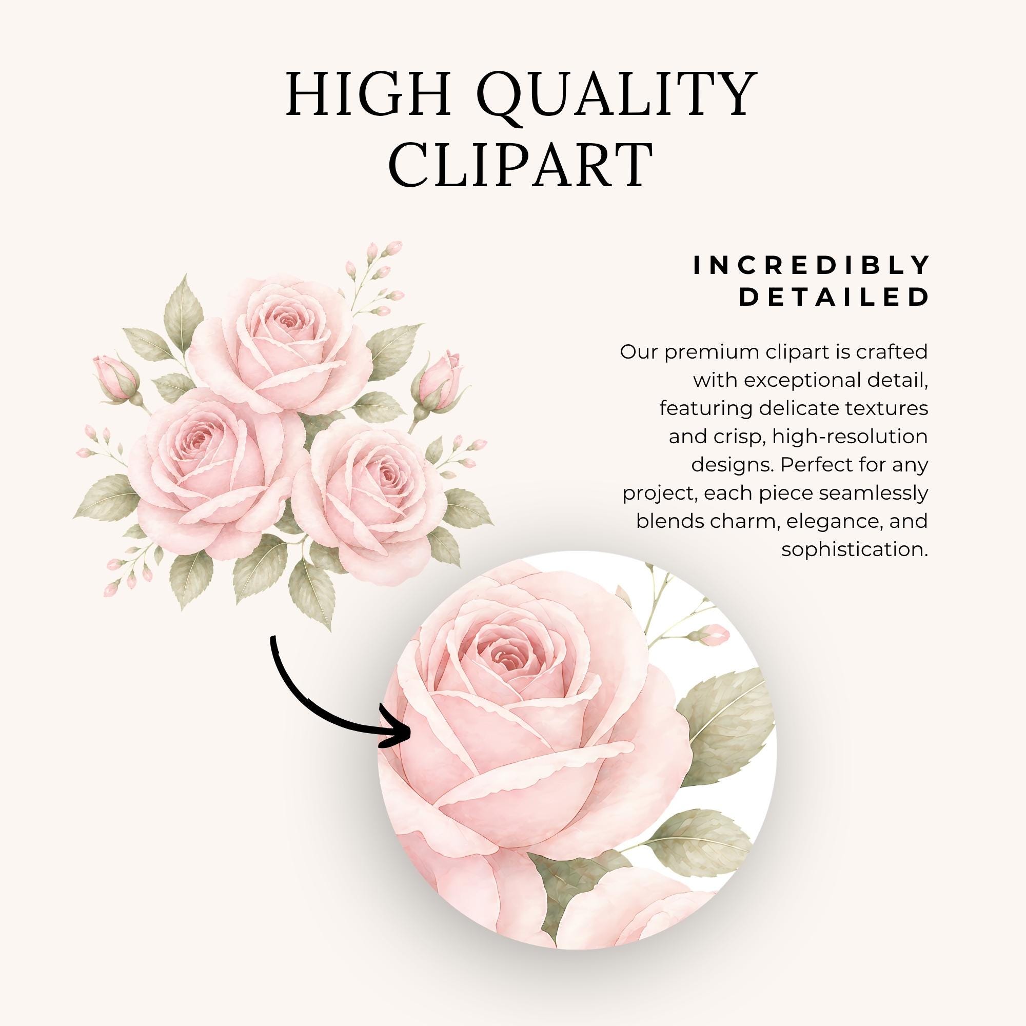 Shabby Chic Roses Clipart Pack, Blush Pink Vintage Floral PNG, Romantic ...
