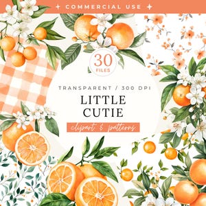 A Little Cutie Is On Way Clipart & Seamless Patterns Bundle, Akvarell Apelsiner Baby Shower Inbjudan, Sommar Citrus Blommor Barnrumsdekor