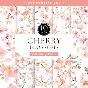 Kirschblüten-nahtloses Muster, Sakura-Beschaffenheit, wiederholte Dame, modische Chinoiserie, japanische Blumen, rosa Hochzeit, Aquarellgitter