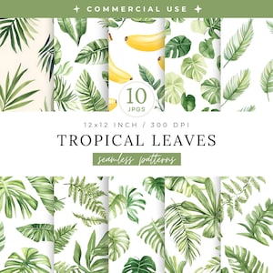 Könnte beinhalten: Zehn nahtlose Muster mit tropischen Blättern in Grüntönen und gelben Bananen. Die Muster sind 12x12 Zoll (30,48 x 30,48 cm) bei 300 DPI, für den kommerziellen Gebrauch geeignet. Der Text "TROPICAL LEAVES" und "seamless patterns" wird angezeigt.