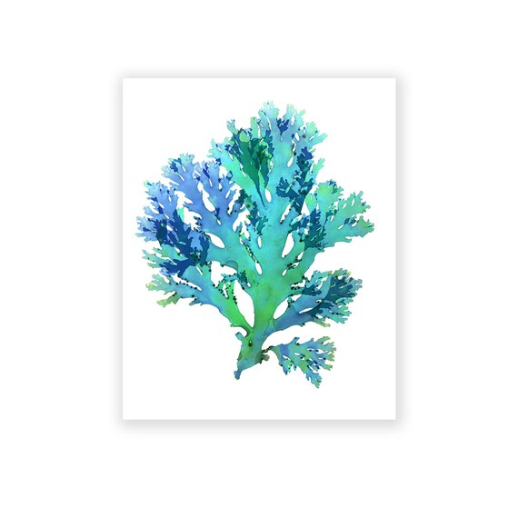 Download Kuestendekorwandkunst For Free Kuestendekorwandkunst