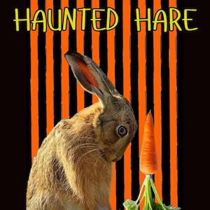 May include: A brown hare stands before a single orange carrot with green leafy tops. The background features vertical black and orange stripes. The text HAUNTED HARE is printed in yellow capital letters at the top of the image.