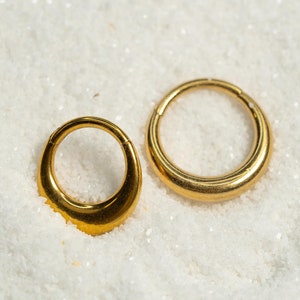 16G Crescent Moon Clicker Hoop Septum Ring Titanium Nose Ring Septum Piercing Cartilage Gold Silver Daith Hoop Helix Hoop Hinged S23-32