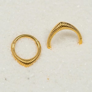 16G Crescent Moon Clicker Hoop Septum Ring Titanium Nose Ring Septum Piercing Cartilage Gold Silver Daith Hoop Helix Hoop Hinged S23-35