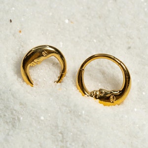 16G Moon Face Clicker Hoop Septum Ring Titanium Nose Ring Septum Piercing Cartilage Gold Silver Daith Hoop Helix Hoop Hinged S23-31