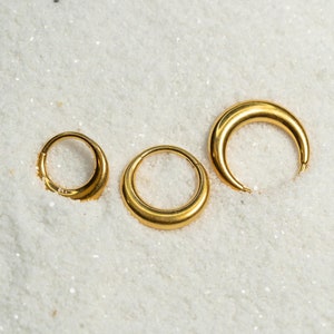 16G Crescent Moon Clicker Hoop Septum Ring Titanium Hoop Earring Septum Piercing Cartilage Gold Silver Daith Hoop Helix Hoop Hinged S28-27