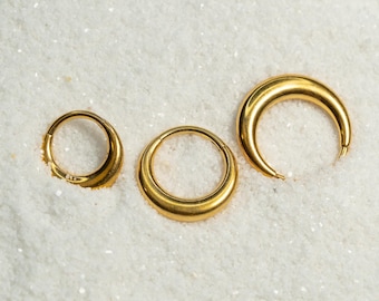 16G Crescent Moon Clicker Hoop Septum Ring Titanium Hoop Earring Septum Piercing Cartilage Gold Silver Daith Hoop Helix Hoop Hinged S28-27
