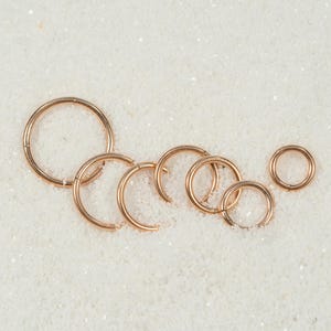 20G 18G 16G Rose Gold Clicker Hoop Nose Ring Titanium Seamless Hinged Segment Cartilage Hoop Septum Piercing Cartilage Hoop Helix Conch