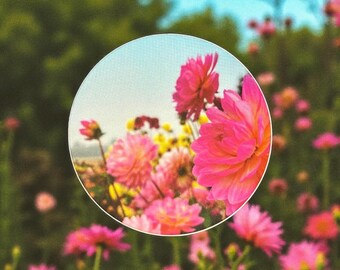 Dahlia garden sticker