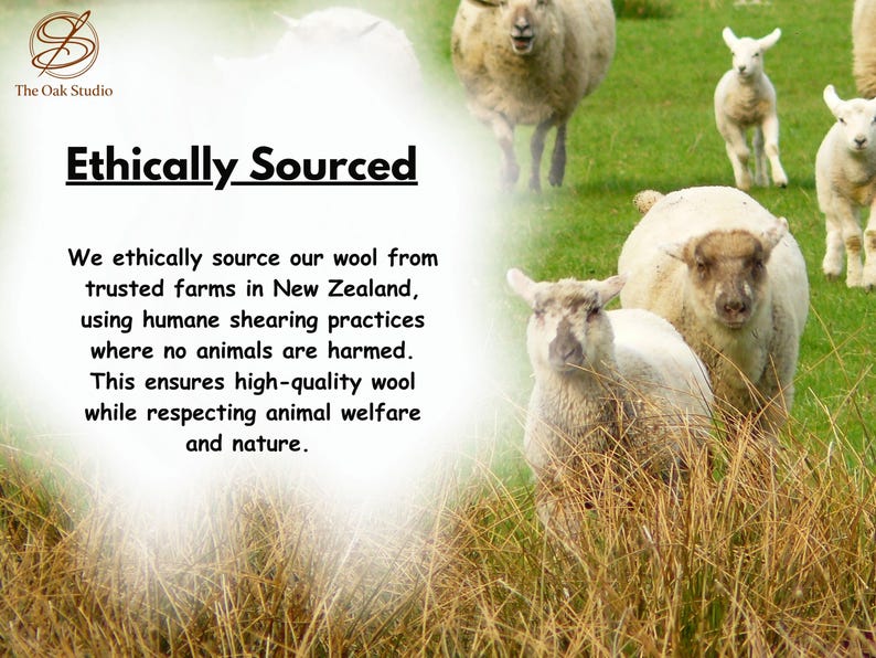Peut inclure: Un groupe de moutons blancs et blanc cass&eacute; broutant dans un champ vert. L'image contient le texte : Ethically Sourced. We ethically source our wool from trusted farms in New Zealand, using humane shearing practices where no animals are harmed.