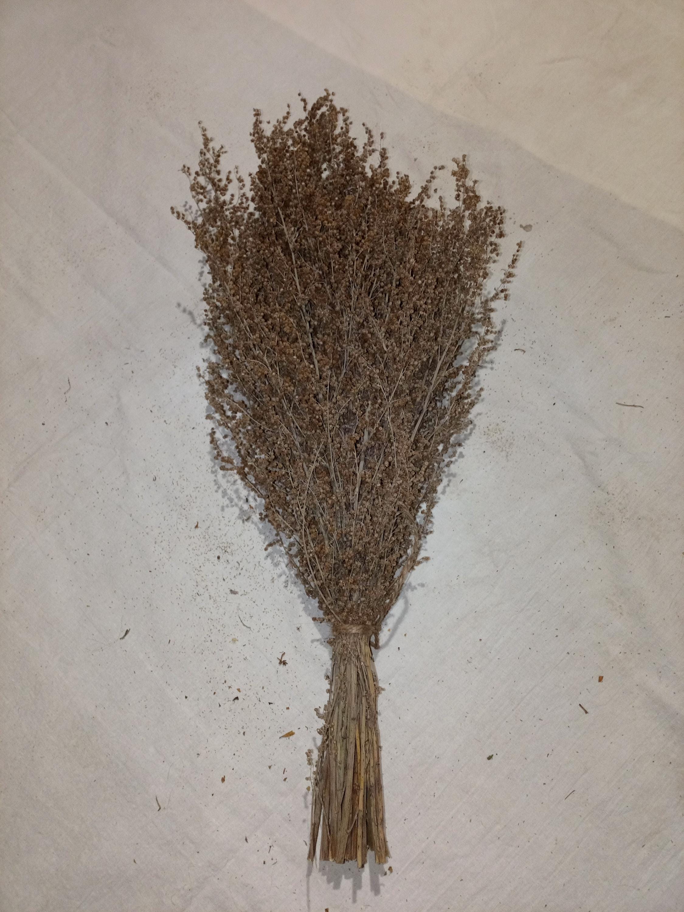 5 bottes d'absinthe. Absinthe, absinthe séchée, botte d'absinthe, balais d'absinthe, balai d'absinthe, balais de bain, balai.