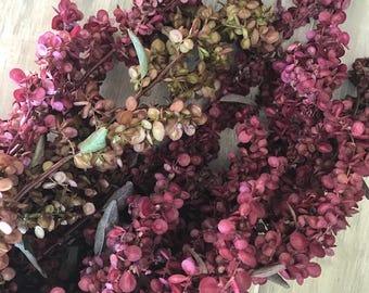 50 seeds Copper Plume Organic / Atriplex hortensis / Orach / Mountain Spinach / Cut Flower / Edible Landscape